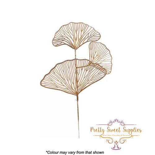 Ginkgo Biloba Leaves 