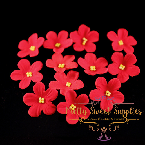 CUPCAKE Flowers Red Small (12 pack) Sugar Flowers