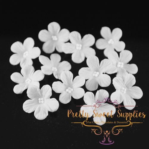 CUPCAKE Flowers White/White Small (12 pack) Sugar Flowers
