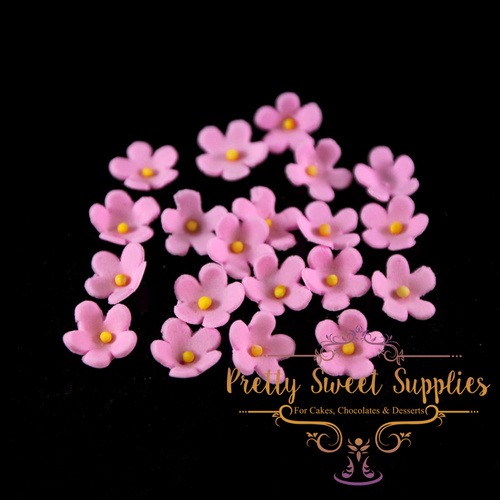 BLOSSOM Flowers Pink Small (20 pack) Sugar Flowers