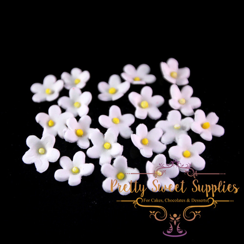 BLOSSOM Flowers White Small (20 pack) Sugar Flowers