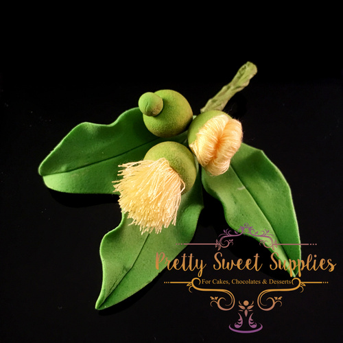 FLOWERING GUM Australian Natives Sugar Flower
