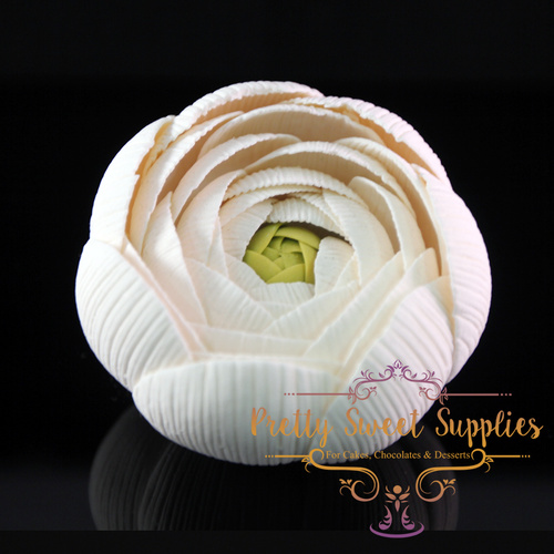 RANUNCULUS White Large