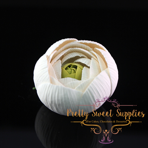 RANUNCULUS White Medium