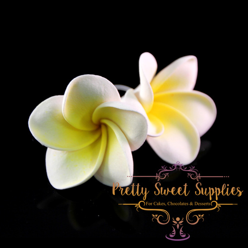FRANGIPANI White/ Yellow Centre Sugar Flower (1pc)