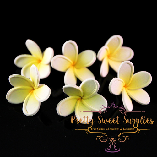 FRANGIPANI White & Yellow Small (Pack of 6)