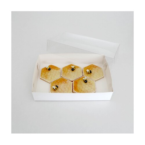 LARGE Clear Lid Rectangle Cookie / Chocolate Box