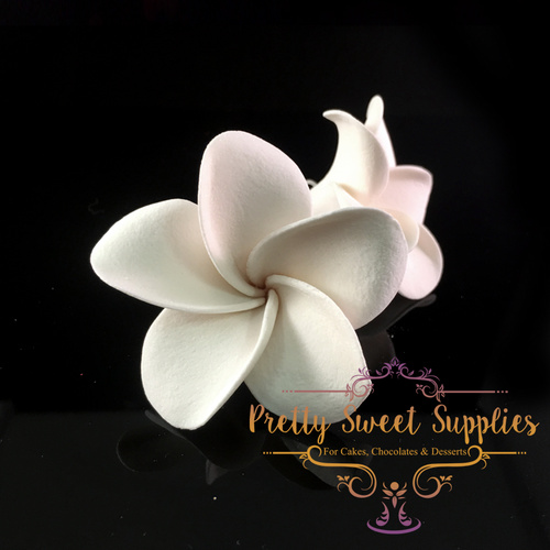 FRANGIPANI White Sugar Flower (1pc)