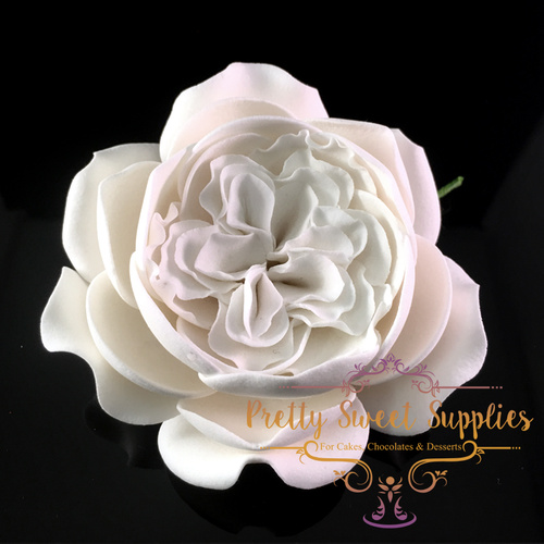 JULIET ROSE White Sugar Flower