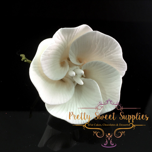 LISIANTHUS White Sugar Flower